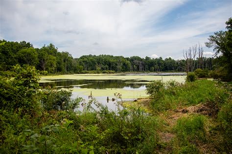 Indiana was admitted to the united states as the 19th state on december 11, 1816. Potato Creek State Park: A Perfect Natural Escape in ...