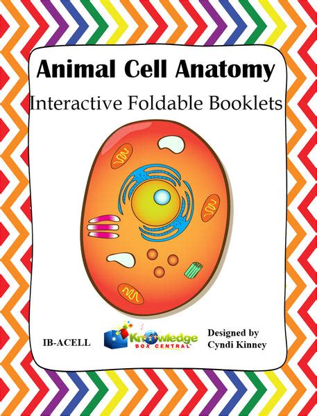 Animal Cell Anatomy Interactive Foldable Booklet Knowledge Box Central