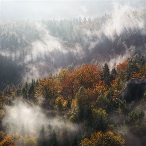 Download Wallpaper 2780x2780 Fog Trees Mountains Pinnacle Ipad Air
