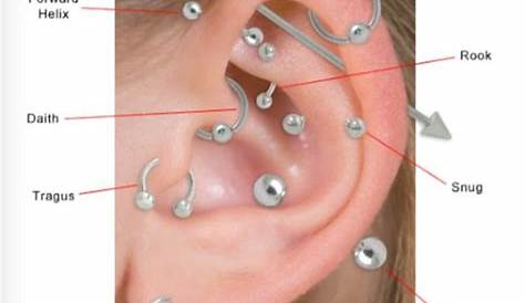 Types of ear piercings | Earings piercings, Ear piercing diagram, Ear