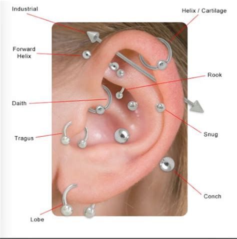 Types Of Ear Piercings Earings Piercings Ear Piercing Diagram Ear