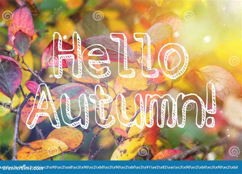 Banner Hello Autumn New Month Greeting Card Golden Autumn The Text