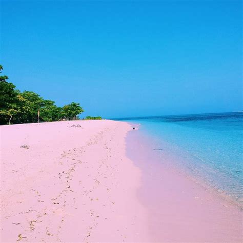 Pink Beach Great Santa Cruz Island Zamboanga De Filipijnen