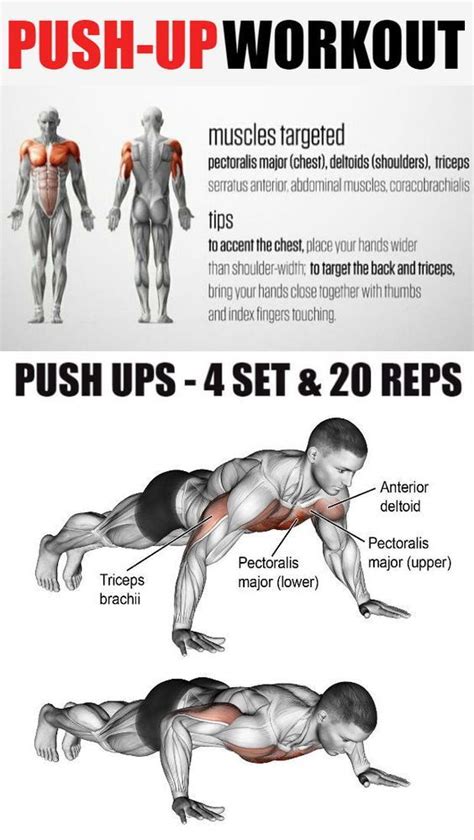How Can I Create The Best Upper Body Shape Without Using Weights 8 Variations Of Push Up That