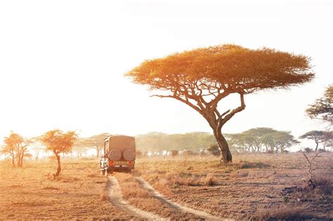 Serengeti National Park Tanzania Guida Ai Luoghi Da Visitare Lonely