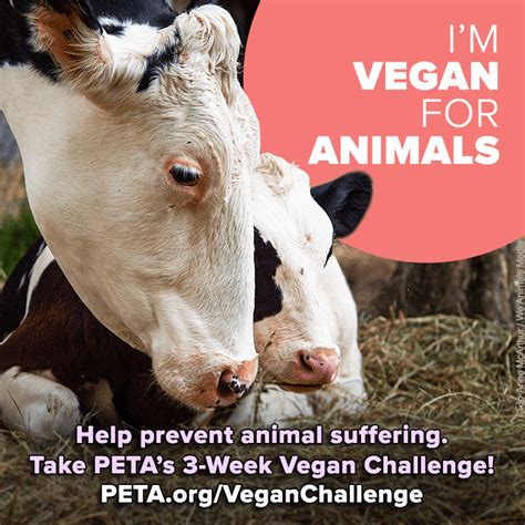 Share Petas 3 Week Vegan Challenge Peta