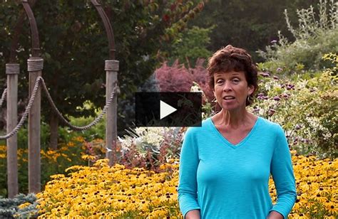 The best approach is to simply choose plants that deer don't like to eat. Deer Resistant Plants: 20 Deer Proof Shrubs, Flowers ...
