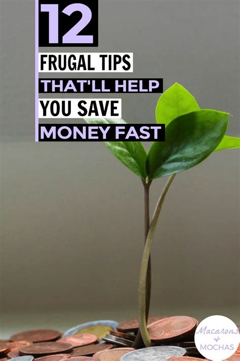 12 Frugal Living Tips in 2020 | Frugal tips, Frugal living tips, Frugal