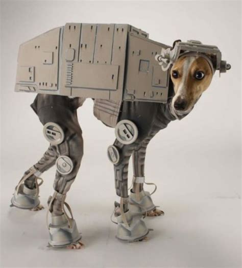 18 Super Cool Dog Halloween Costumes