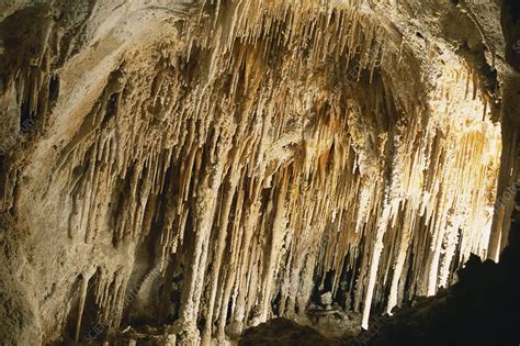 Soda Straws In Carlsbad Caverns Stock Image C0120651 Science