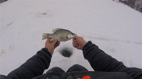Ice Fishing Beaver Dam Lake Youtube