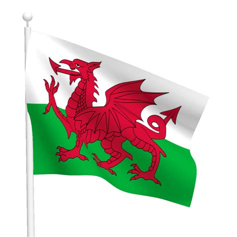 Author of flags and arms across the world and others. Polyester Wales Flag (Light Duty) | Flags International