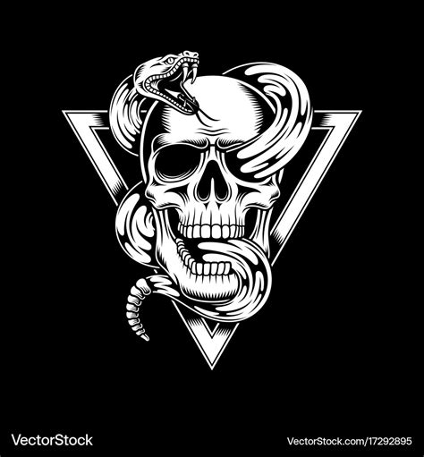 Skull With Snake Royalty Free Vector Image Vectorstock