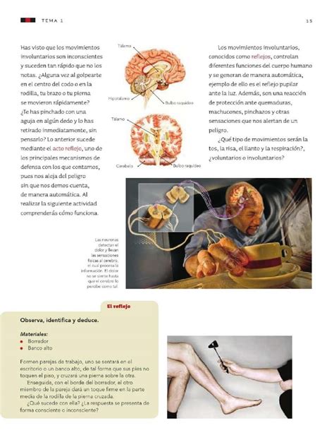 Easily share your publications and get them in front of issuu's millions of monthly readers. Coordinación y defensa del cuerpo humano - Bloque I - Tema ...