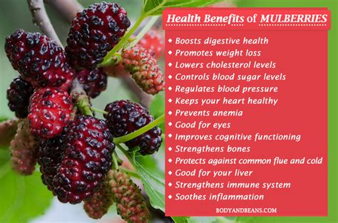 Obviously we were misinformed since we have never. 15 Health Benefits of Mulberries: Weight Loss to ...