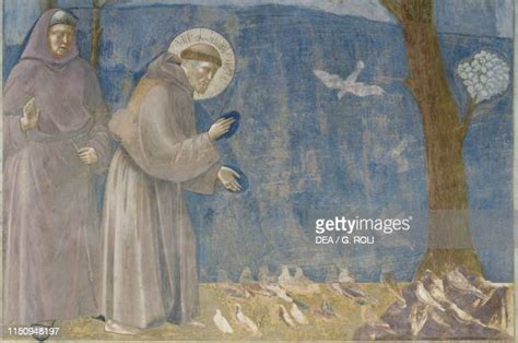 St Francis Of Assisi Painting Photos And Premium High Res Pictures