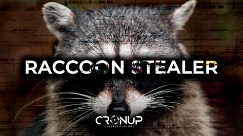El Malware Raccoon Stealer Regresa Con Una Nueva Versión ¿qué Novedades