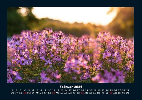 Tobias Becker Blumenkalender 2024 Fotokalender Din A4 Kalender Jpc