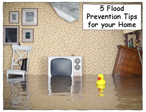Flood Prevention Tips For Your Home Plumbers In Morris