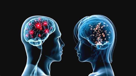 Diferencias Entre Cerebro De Hombres Y Mujeres Se Reflejan En Toma De