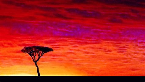 African Sunset African Sunset The Inspiration Behind My Color