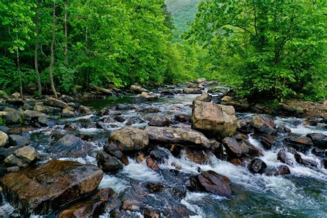 Appalachian Land And Conservation Services