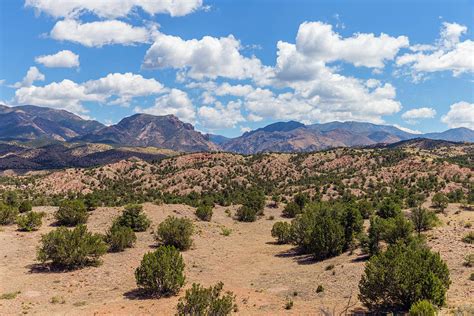 Scenic Desert Landscape In New Mexico Photograph By Ron Koeberer Fine