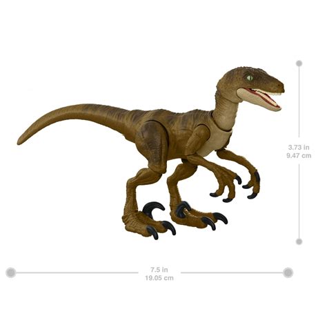 Jurassic World Hammond Collection Velociraptor Figure Ph