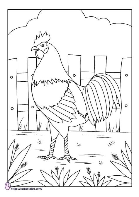 Gambar Mewarnai Hewan Ayam
