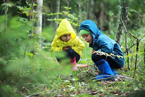 Introduction To Forest Schools A Nature Based Approach To Early