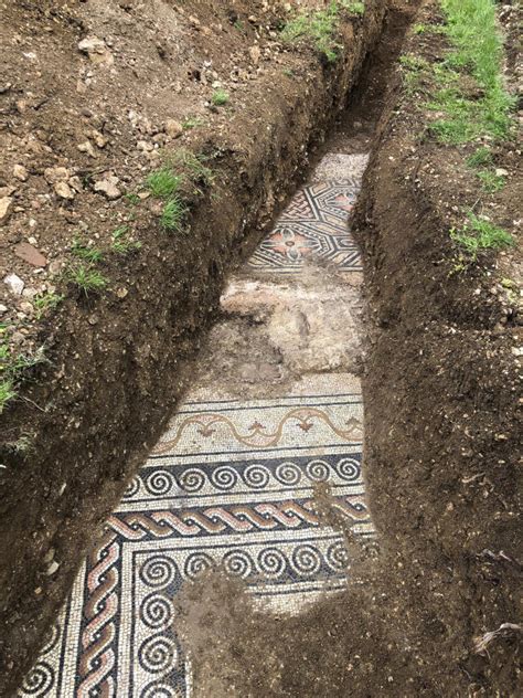 Well Preserved Roman Mosaic Unearthed In Italian Vineyard