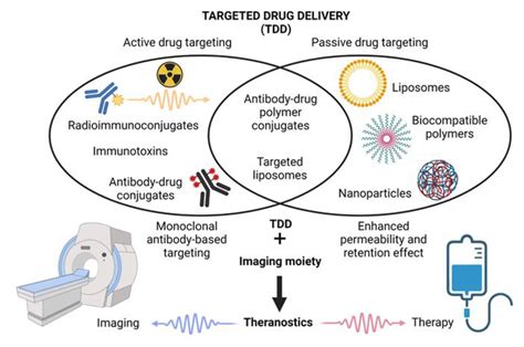Cancers Free Full Text Targeted Drug Delivery And Theranostic