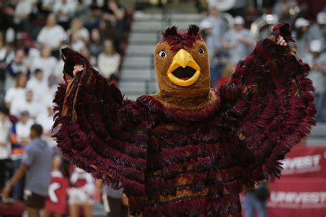 More Than A Mascot The St Josephs University Hawk Flaps On