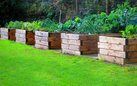 How To Build A Raised Garden Bed