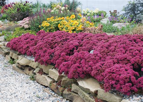 Sand has long been the ground cover of choice for play areas, most likely due to its affordable cost and ability to absorb falls. Glorious Ground Covers! | Wisconsin Gardening