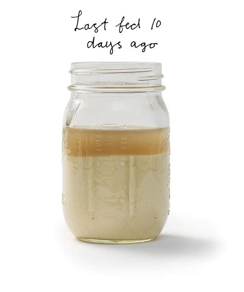 What is a fed sourdough starter? Ripe Sourdough Starter | Sourdough starter, Sourdough ...