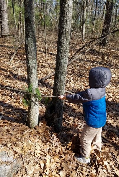 Why does my bunny keep twitching her head / tessa s 2 she s full of it but also / she's been acting normally, eating, drinking, playing etc.the two most common reasons for nystagmus in a bun is e cuniculi or an ear infection. 7 Quick Takes about Why My Right Eye is Twitching, Family ...