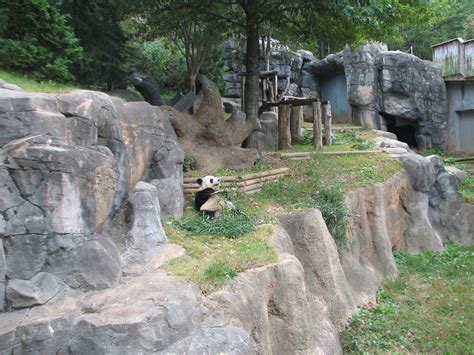 Asian Forest Giant Panda Exhibit 2 Zoo Atlanta Gallery Atlanta