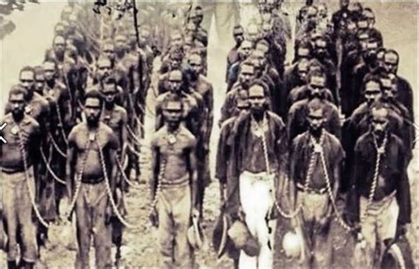 Prisoners Of Frontier Wars Blackbirding And Chain Gangs Image 15