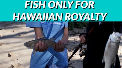 How To Catch Royal Fish Fish Only For Hawaiian Royalty Youtube