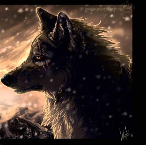 See more ideas about wolf pictures, wolf art, fantasy wolf. cool wolf profile pictures ...