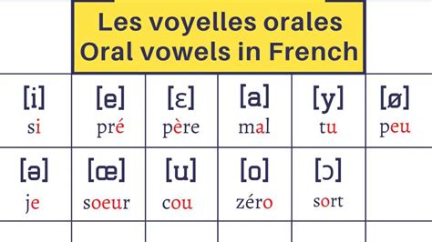 French Alphabet Phonetic Transcription Most Affordable Transcription