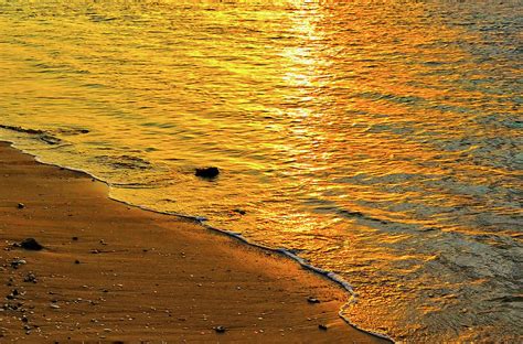 Golden Beach Sunset Photograph By Stephen Anderson Fine Art America