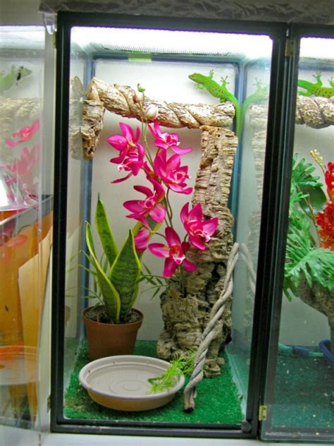 Photo Gallery Cages Terrariums Ponds Aquariums Day