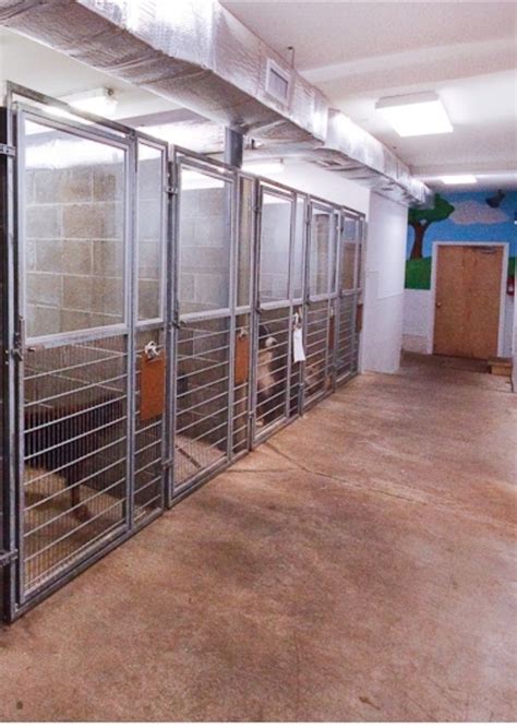Kennel And Boarding Services Available Dog Kennel At Rs 800day In Gurgaon