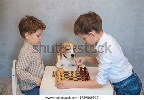 Two Boys Play Chess Table Beagle Stock Photo 1939869910 Shutterstock