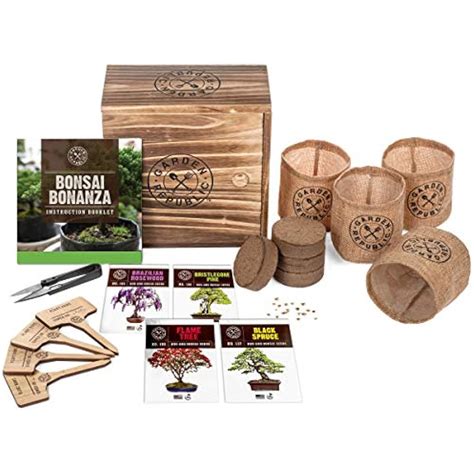 Bonsai Tree Seed Starter Kit Mini Plant Growing Kit 4 Types Of Seeds