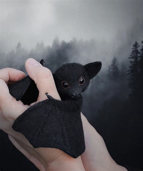 Fake Or Real 🦇🖤 📸 Yastanna Bat Animal Cute Animals Animals
