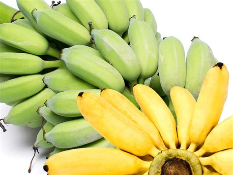 10 Types Of Bananas In India Info Pictures And Names