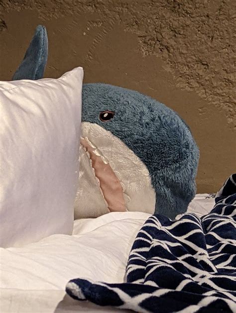 The Power Of The Shark How An Ikea Plush Became The Face Of By Meghan Cherry Medium